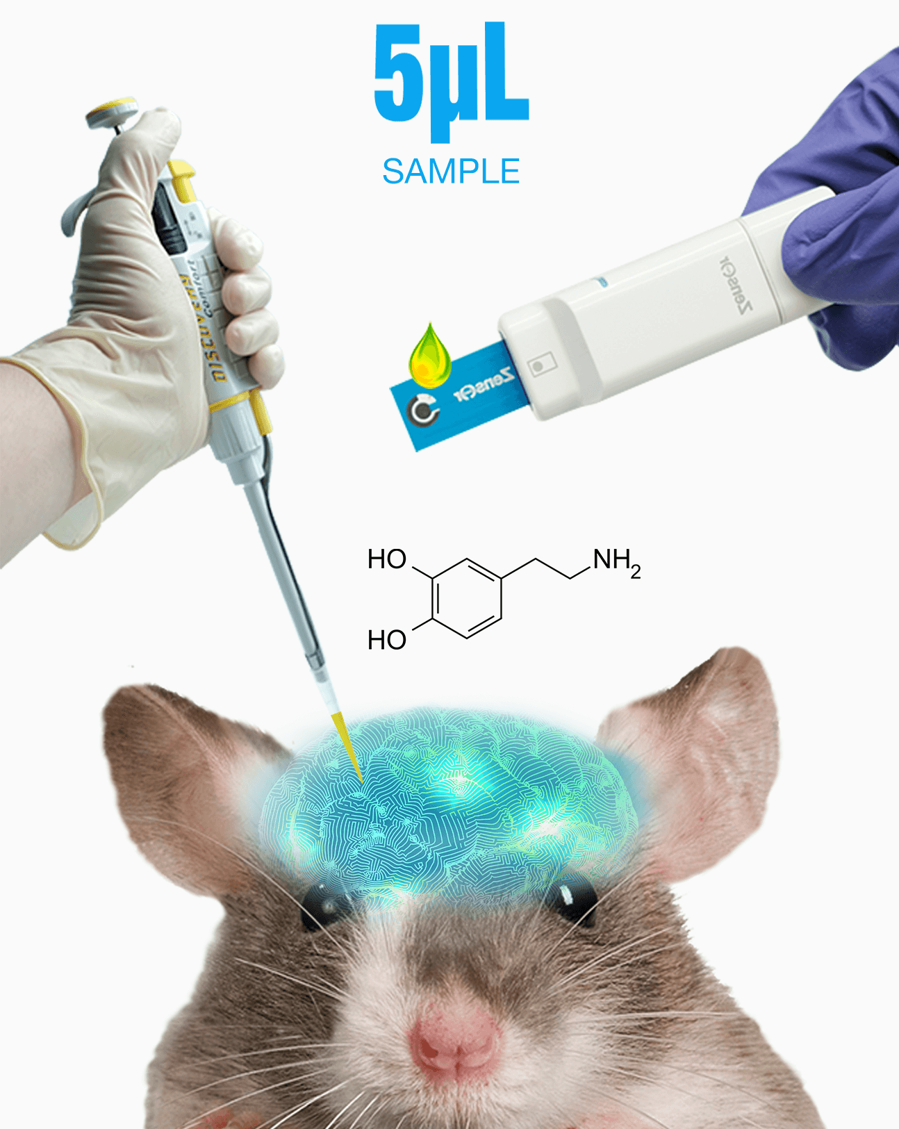 just need a few microliters of sample electrochmical Screen printed electrodes & Interdigitated electrodes-Zensor R&D-SPE